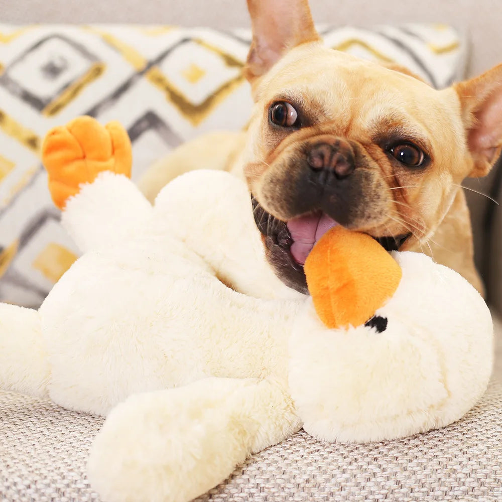 Dog sound plush Toys for Small Large Dogs Animal Shape Plush Pet Puppy Squeaky Chew Bite Resistant Toy Pets Accessories Supplies