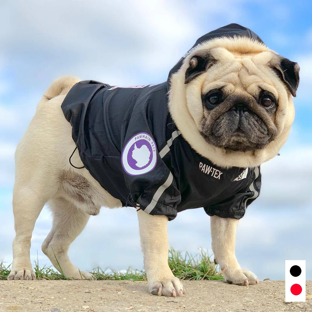 Pet Dog Waterproof Coat Dog Raincoat Reflective Dog Outdoor Clothes Hooded Jacket for Small Medium Large Dog Pet Supplies