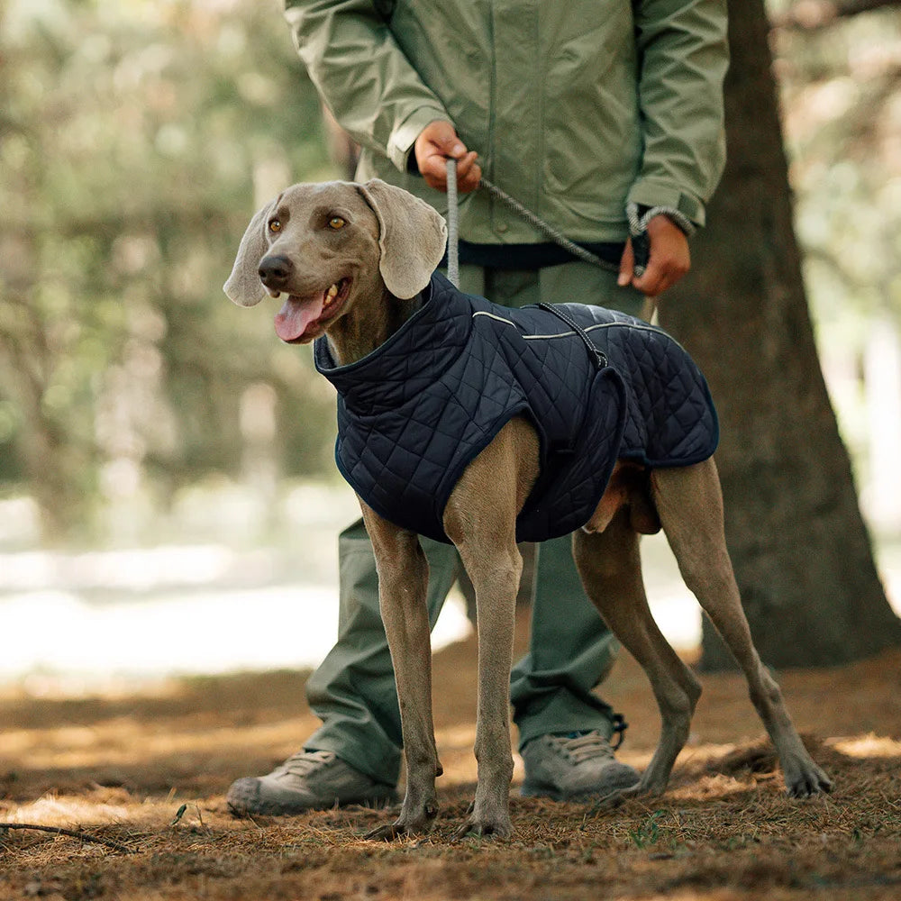 Dog Outdoor Jacket Waterproof Reflective Pet Coat Vest Winter Warm Cotton Dogs Clothing for Large Middle Dogs Labrador